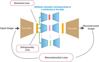Orthogonality and graph divergence losses promote disentanglement in generative models